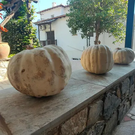 Galini Hotel Agios Ioannis Pelion Hotel