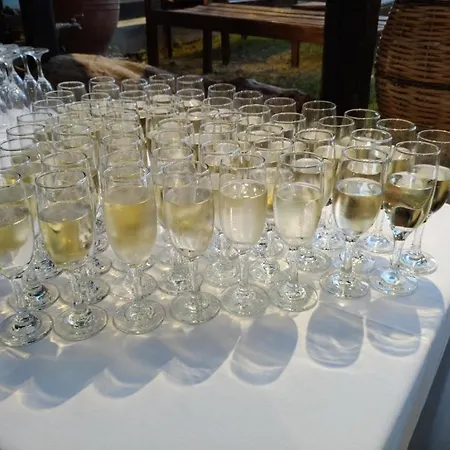 Otel Galini Agios Ioannis Pelion