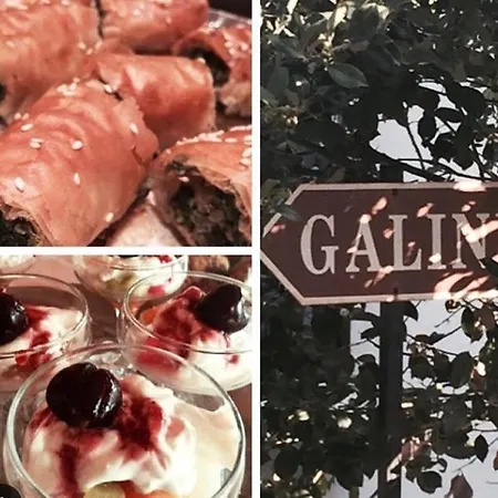 Galini Agios Ioannis Pelion