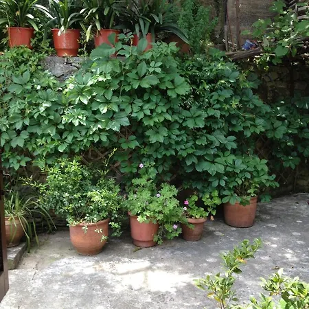 Galini Agios Ioannis Pelion Szálloda