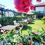 Отель Galini Agios Ioannis Pelion