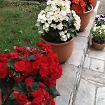 酒店 Galini Agios Ioannis Pelion 2*