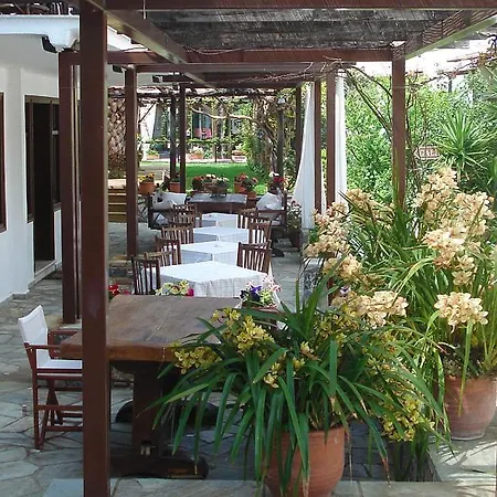 Galini Agios Ioannis Pelion Otel Agios Ioannis (Thessaly)