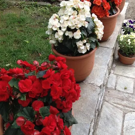 Hotel Galini Agios Ioannis Pelion 2*