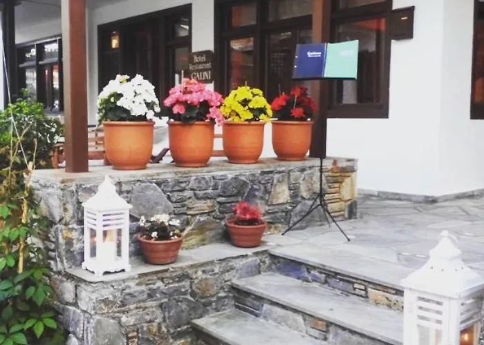 Galini Hotel Agios Ioannis Pelion Agios Ioannis (Thessaly)